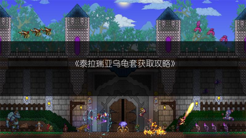 《泰拉瑞亚乌龟套获取攻略》