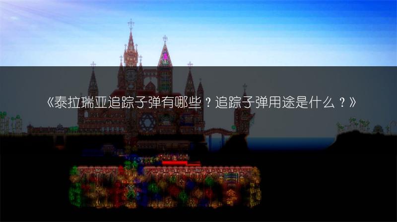 《泰拉瑞亚追踪子弹有哪些？追踪子弹用途是什么？》