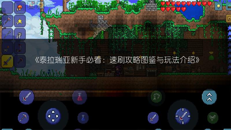 《泰拉瑞亚新手必看：速刷攻略图鉴与玩法介绍》