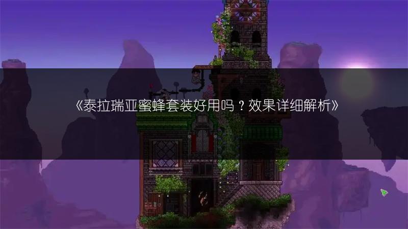 《泰拉瑞亚蜜蜂套装好用吗？效果详细解析》
