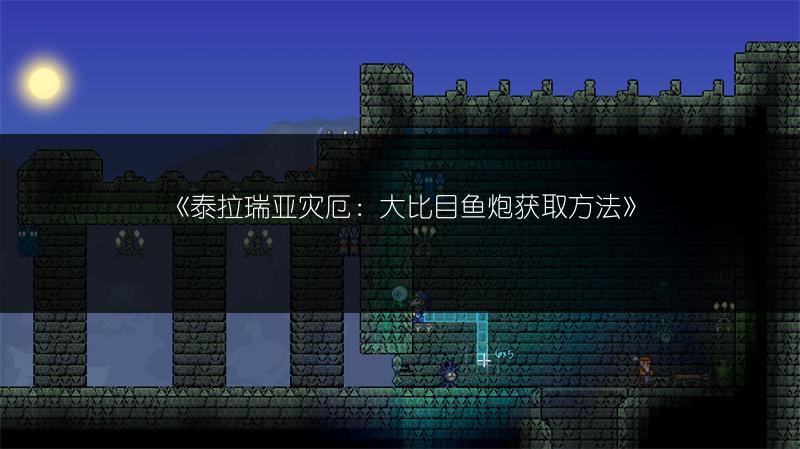 《泰拉瑞亚灾厄：大比目鱼炮获取方法》