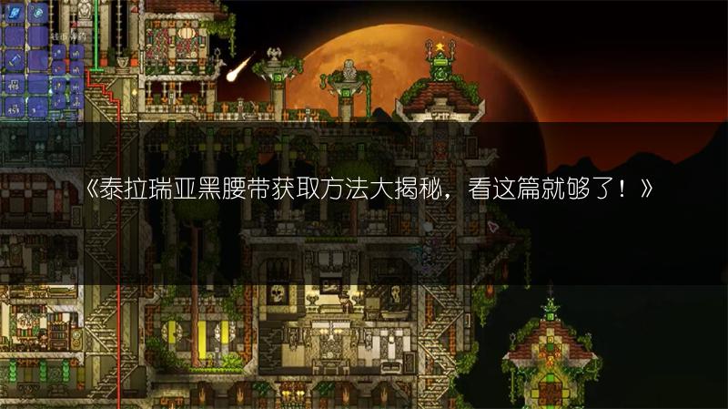 《泰拉瑞亚黑腰带获取方法大揭秘，看这篇就够了！》