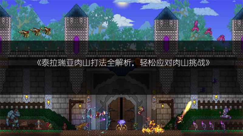 《泰拉瑞亚肉山打法全解析，轻松应对肉山挑战》