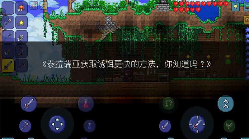 《泰拉瑞亚丛林蜥蜴箱：掉落物品全解析》