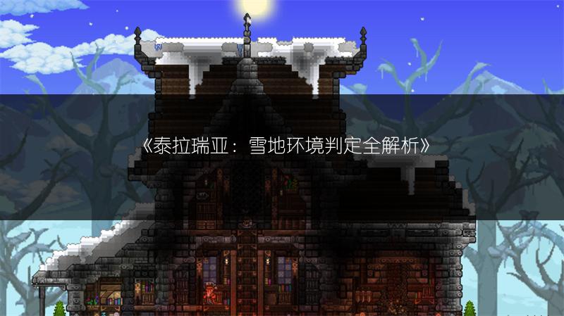 《泰拉瑞亚：雪地环境判定全解析》