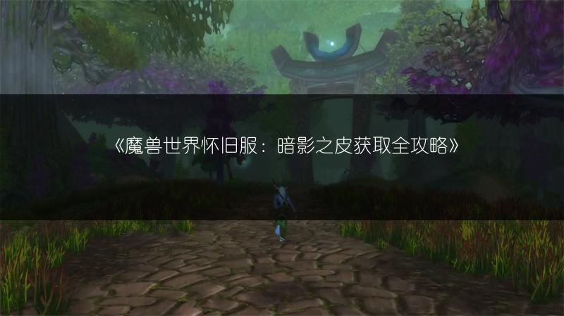 《魔兽世界怀旧服：暗影之皮获取全攻略》