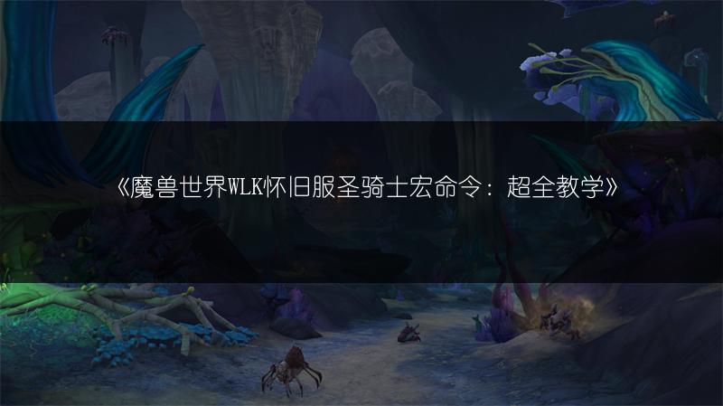《魔兽世界WLK怀旧服圣骑士宏命令：超全教学》