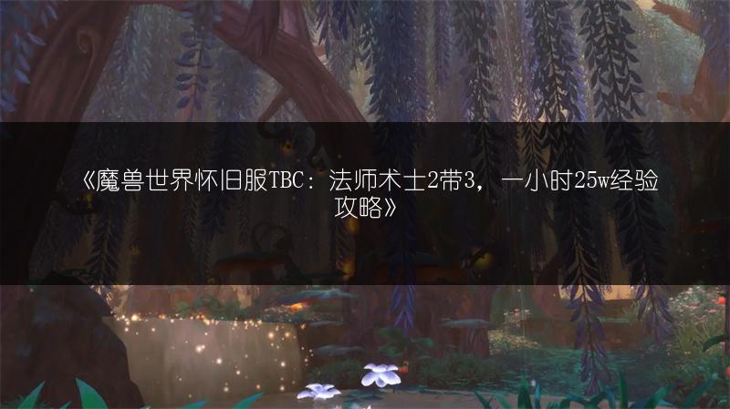 《魔兽世界怀旧服TBC：法师术士2带3，一小时25w经验攻略》