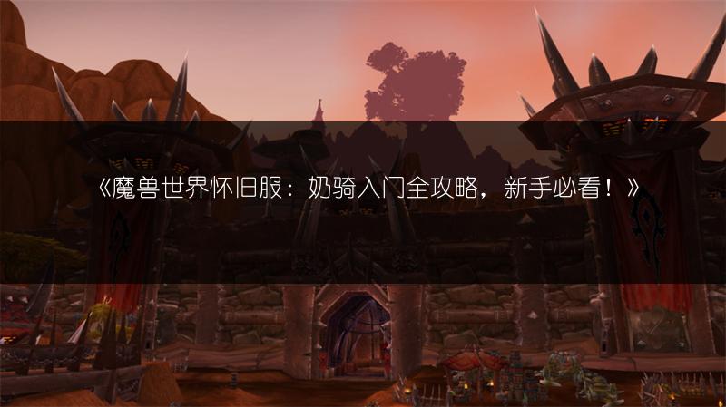 《魔兽世界怀旧服：奶骑入门全攻略，新手必看！》