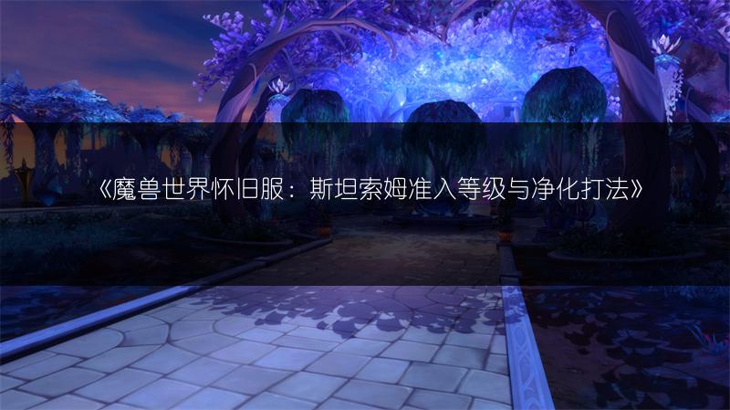 《魔兽世界怀旧服：斯坦索姆准入等级与净化打法》
