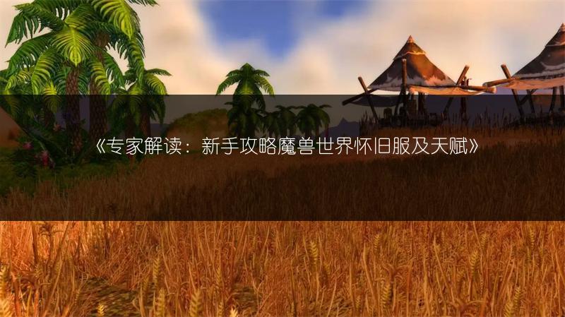 《专家解读：新手攻略魔兽世界怀旧服及天赋》