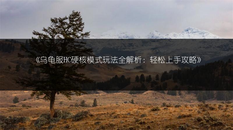 《乌龟服HC硬核模式玩法全解析：轻松上手攻略》