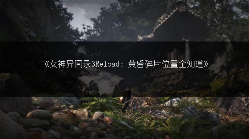 《女神异闻录3Reload：黄昏碎片位置全知道》