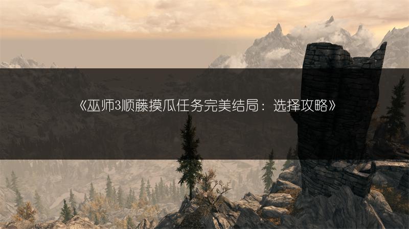 《巫师3顺藤摸瓜任务完美结局：选择攻略》