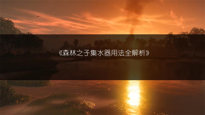 《森林之子集水器用法全解析》