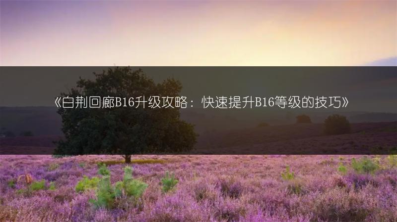 《白荆回廊B16升级攻略：快速提升B16等级的技巧》