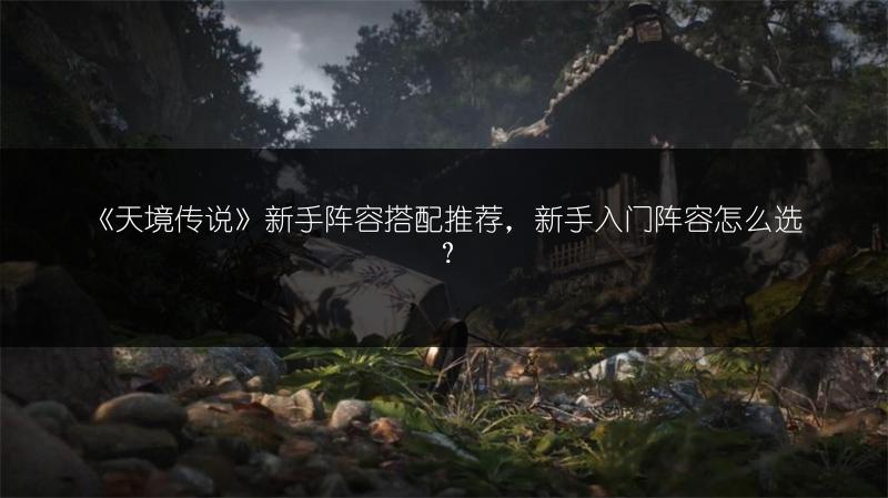 《天境传说》新手阵容搭配推荐，新手入门阵容怎么选？