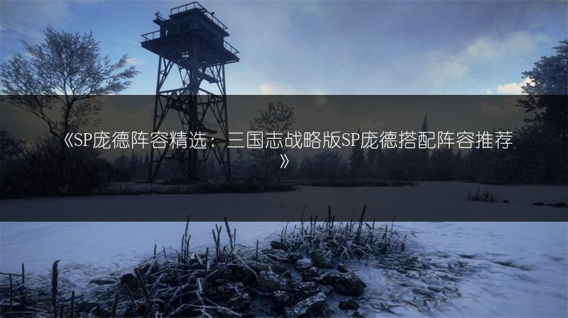 《SP庞德阵容精选：三国志战略版SP庞德搭配阵容推荐》