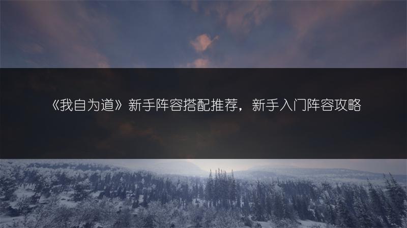 《我自为道》新手阵容搭配推荐，新手入门阵容攻略