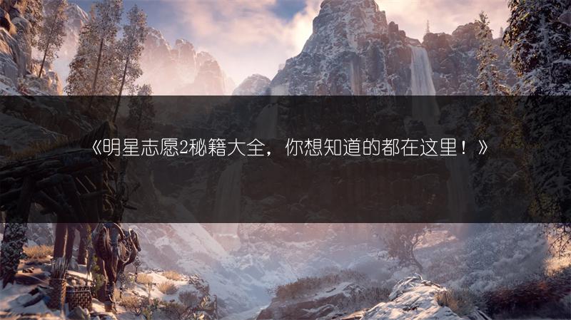 《明星志愿2秘籍大全，你想知道的都在这里！》