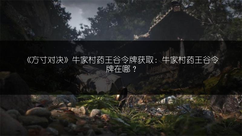 《方寸对决》牛家村药王谷令牌获取：牛家村药王谷令牌在哪？