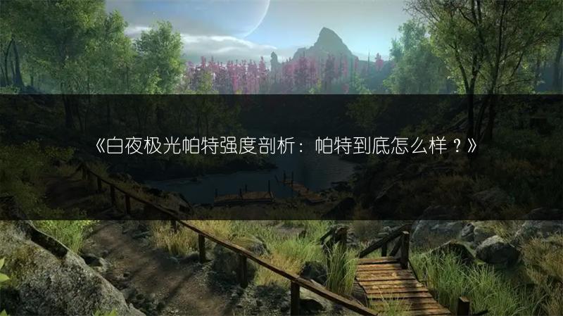 《白夜极光帕特强度剖析：帕特到底怎么样？》
