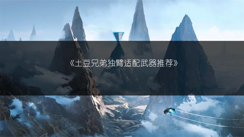《土豆兄弟独臂适配武器推荐》