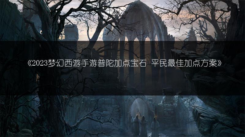 《梦幻西游手游普陀加点宝石 平民最佳加点方案》