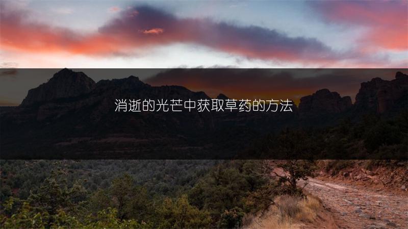 消逝的光芒中获取草药的方法