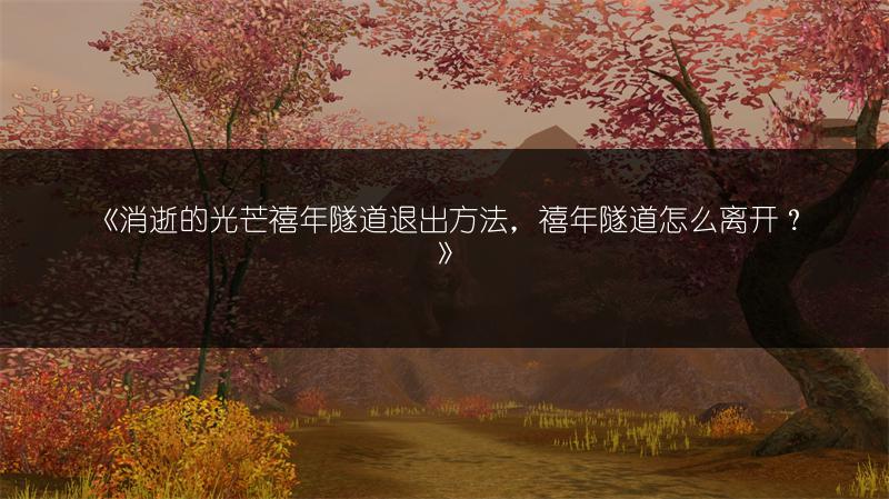 《消逝的光芒禧年隧道退出方法，禧年隧道怎么离开？》