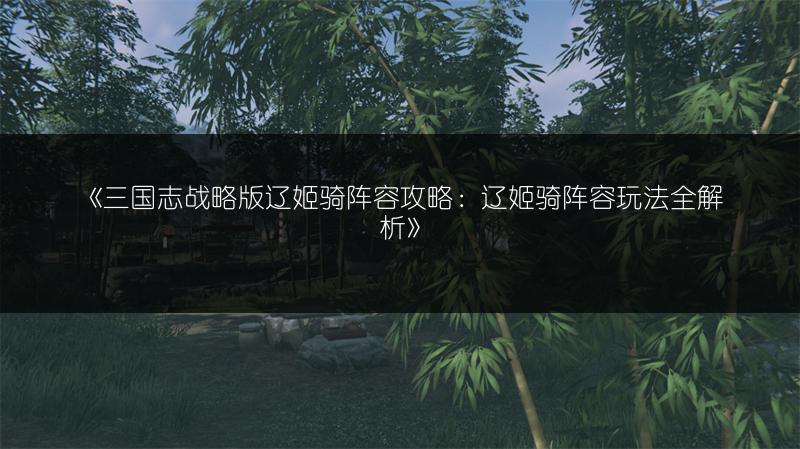 《三国志战略版辽姬骑阵容攻略：辽姬骑阵容玩法全解析》