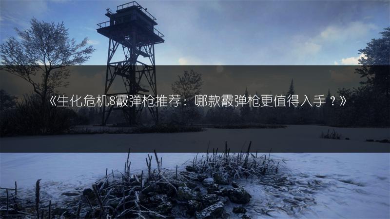 《生化危机8霰弹枪推荐：哪款霰弹枪更值得入手？》