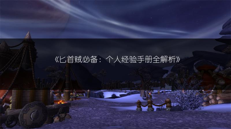 《匕首贼必备：个人经验手册全解析》