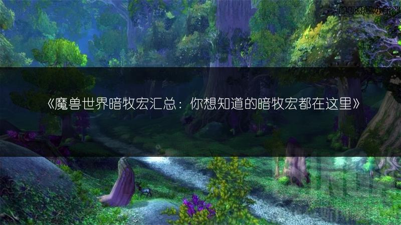 《魔兽世界暗牧宏汇总：你想知道的暗牧宏都在这里》