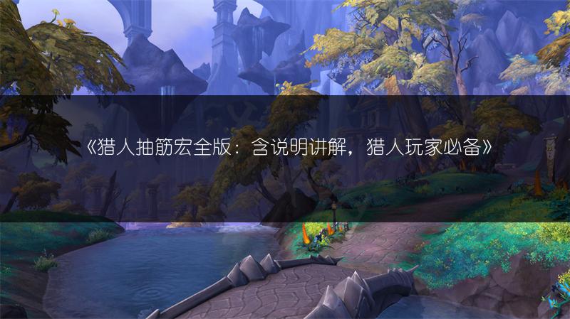 《猎人抽筋宏全版：含说明讲解，猎人玩家必备》