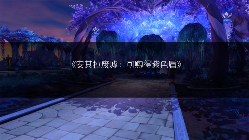 《安其拉废墟：可购得紫色盾》