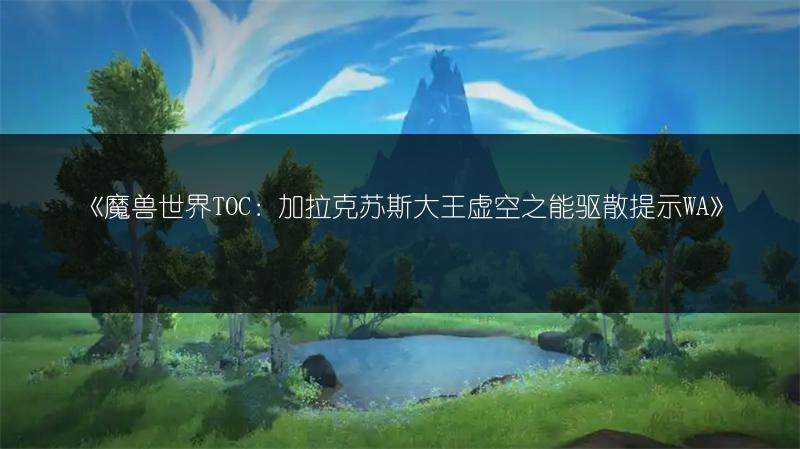 《魔兽世界TOC：加拉克苏斯大王虚空之能驱散提示WA》