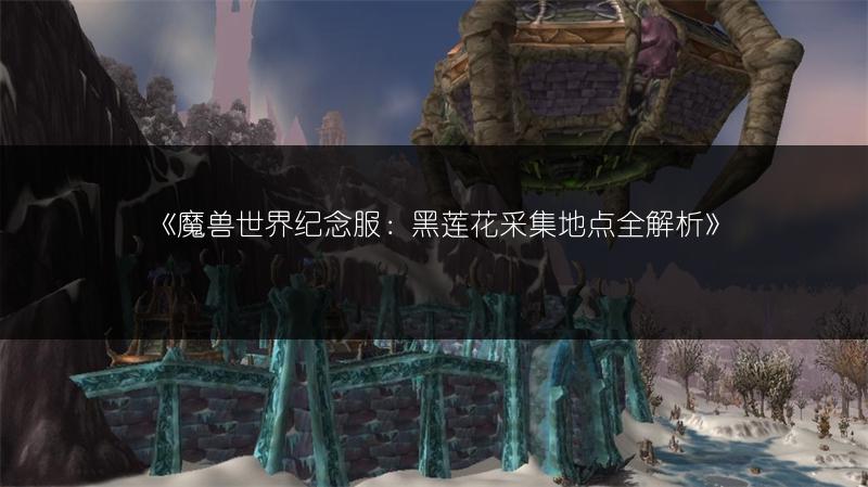 《魔兽世界纪念服：黑莲花采集地点全解析》