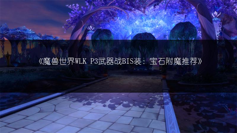 《魔兽世界WLK P3武器战BIS装：宝石附魔推荐》