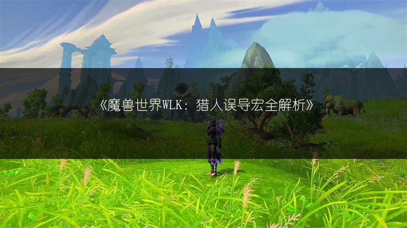 《魔兽世界WLK：猎人误导宏全解析》