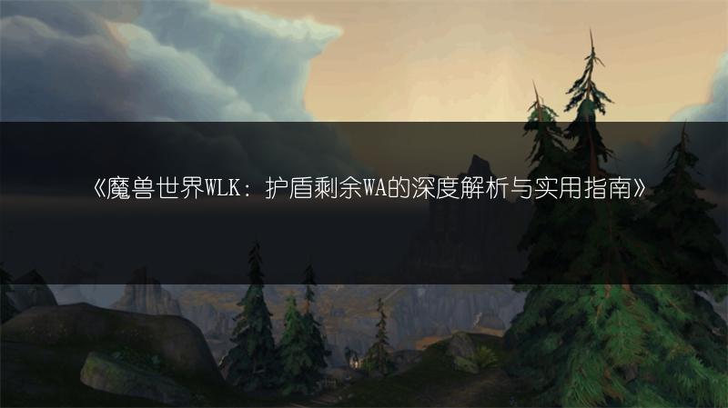 《魔兽世界WLK：护盾剩余WA的深度解析与实用指南》