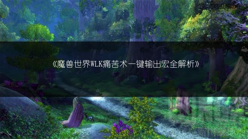《魔兽世界WLK痛苦术一键输出宏全解析》