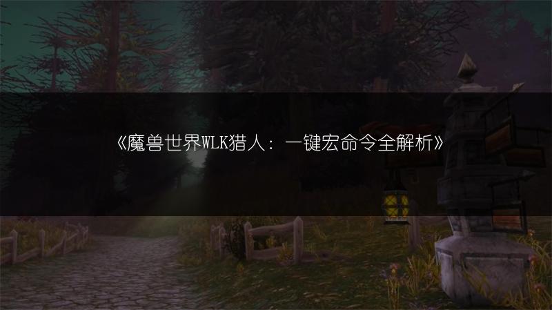 《魔兽世界WLK猎人：一键宏命令全解析》