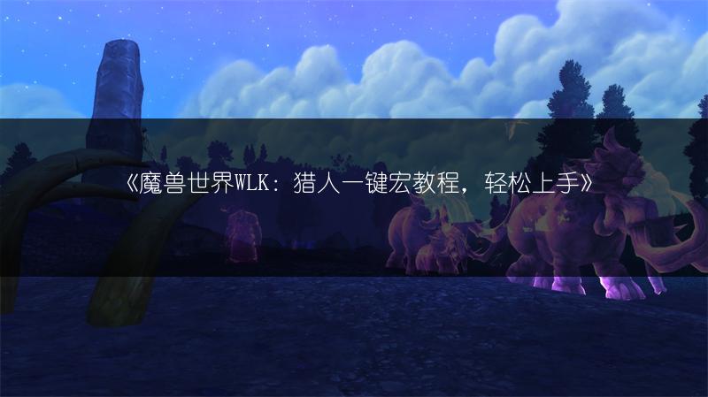 《魔兽世界WLK：猎人一键宏教程，轻松上手》
