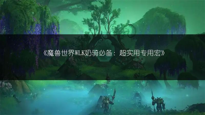 《魔兽世界WLK奶骑必备：超实用专用宏》