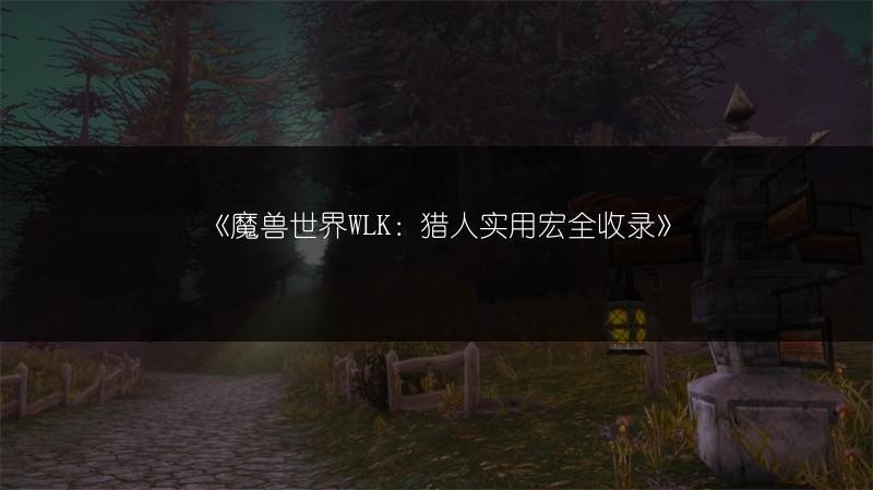 《魔兽世界WLK：猎人实用宏全收录》