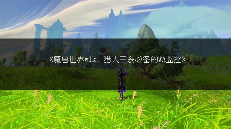 《魔兽世界wlk：猎人三系必备的WA监控》