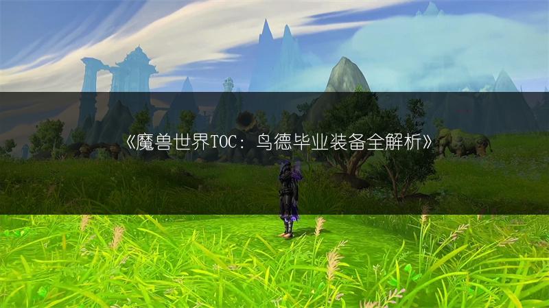 《魔兽世界TOC：鸟德毕业装备全解析》