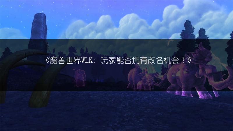 《魔兽世界WLK：玩家能否拥有改名机会？》