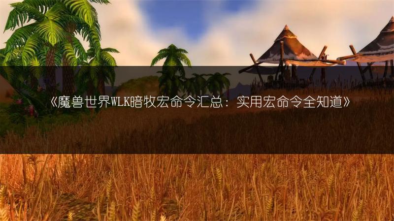 《魔兽世界WLK暗牧宏命令汇总：实用宏命令全知道》